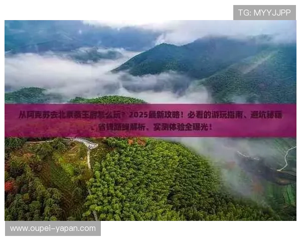 玩球波胆全包怎么打避坑指南与极速提现技巧 玩球波胆全包怎么打避坑指南与极速提现技巧